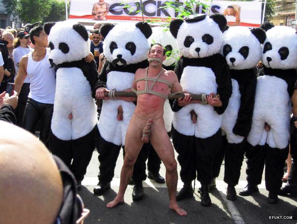 Gay Panda Parade Picture | eFukt.com