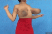 Tits Or Wings? GIF | eFukt.com