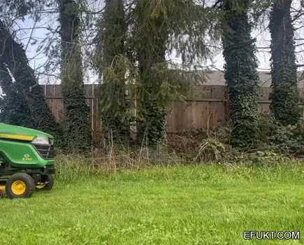 03dd531e610888b271757aa45e2b5fe3.gif