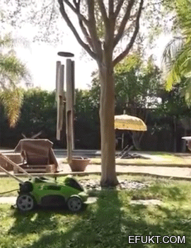 f8b37db000278eab1e1c63c18e21043e.gif